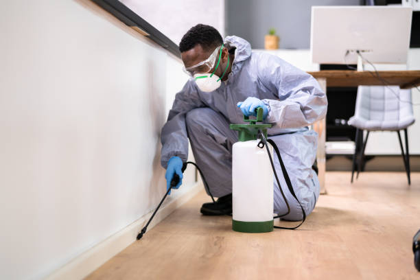 Best Real Estate Pest Inspections  in Timberlake, VA